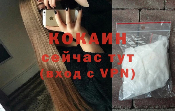 гидра Аркадак