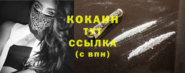 гидра Аркадак